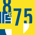 Logo 875