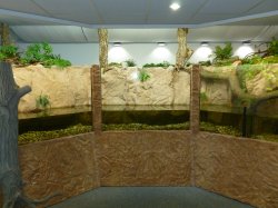 Neuer Ausstellungsraum im Vivarium