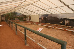 Pd0246 Oefffuehrung Foto Museum Für Naturkunde