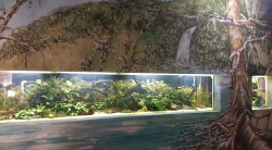 Pd0065 Tierpark Foyer Neu 1