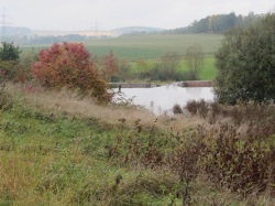 Pd0304 Feldteiche Mittelbach Foto Umweltamt