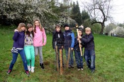 Pd0224 Baumpflanzung