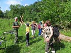 Pd0398 Waldjugendspiele Im Zeisigwald