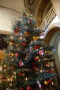 Pd0785-weihnachtsbaum Pd0785-weihnachtsbaum