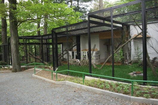 Amurkatzenanlage