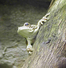 Tierpark Chemnitz Tierpark Chemnitz