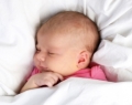 Foto: Heather Lavelle / Shutterstock