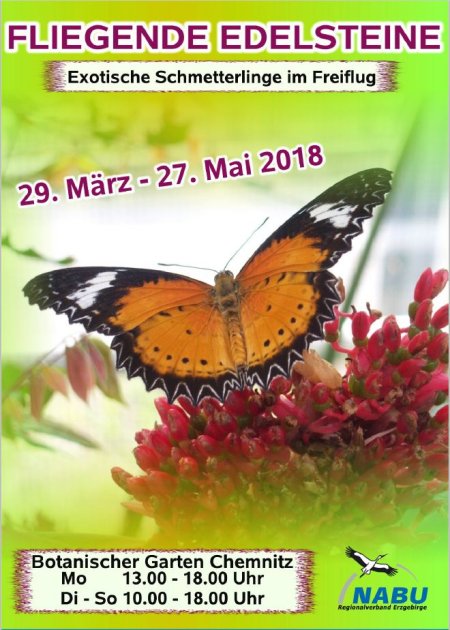 2018 Fliegende Edelsteine