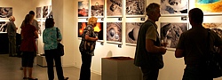 Museen Museen