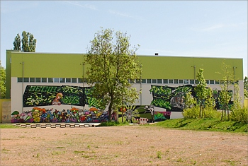 Graffiti Sporthalle Schlossteich