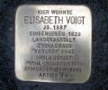 Hofer B