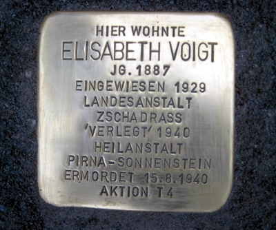 Hofer B