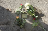 Stolperstein Kohn