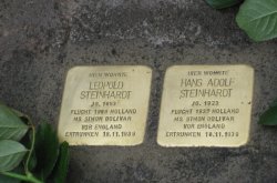 Hoffmannstraße 45 - Stolperstein Familie Steinhardt