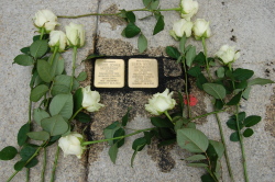 Stolpersteine Familie Muschinsky