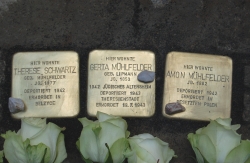 Stolpersteine Muehlfelder