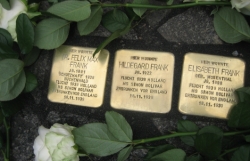Stolpersteine Dr. Felix Max und Elisabeth Frank 