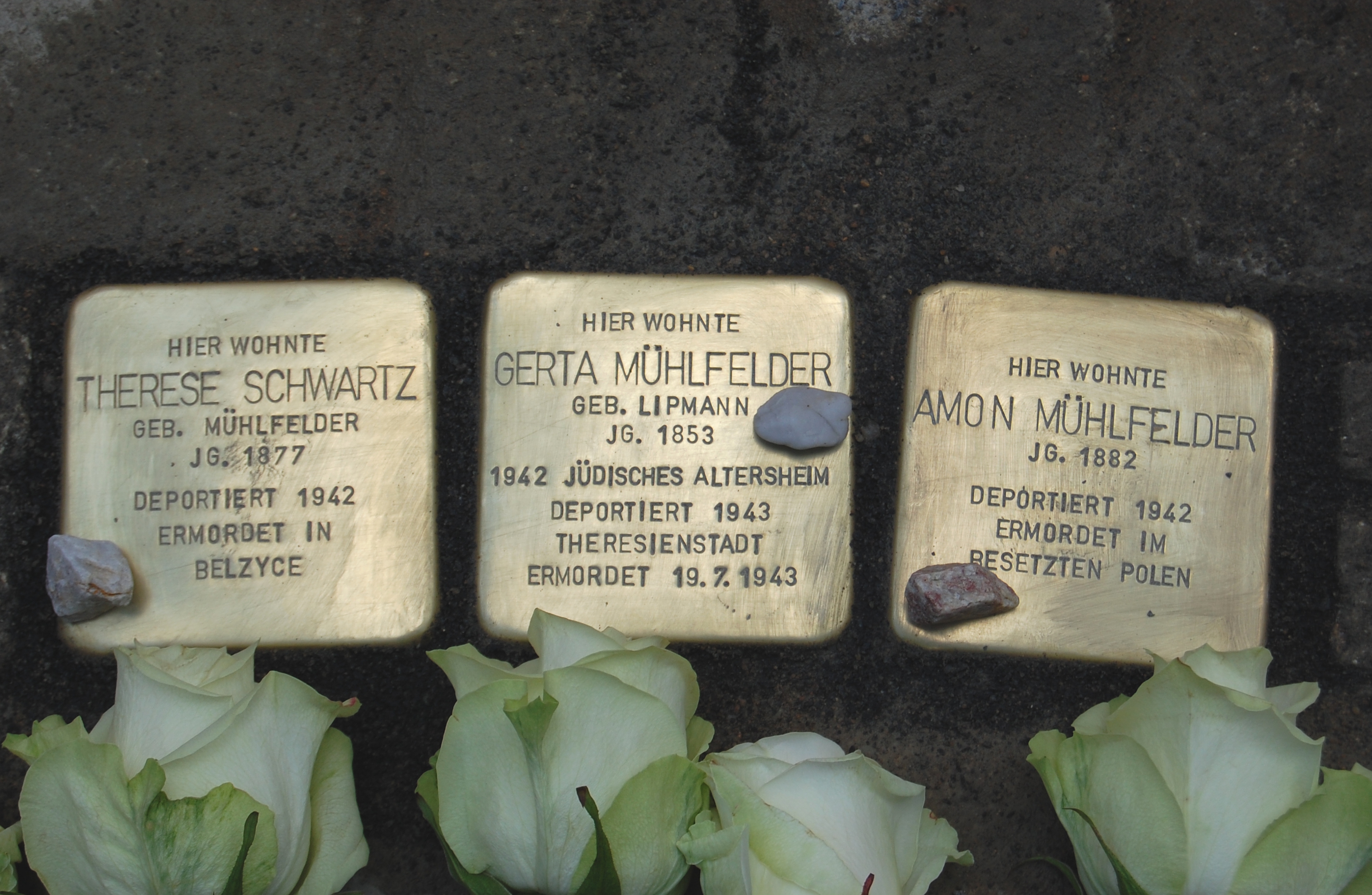 Stolpersteine Muehlfelder
