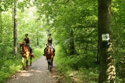 Reiter auf einem gekennzeichneten Reitweg Reiter auf einem gekennzeichneten Reitweg