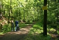 Zeisigwald
