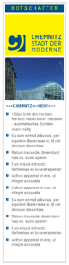 Widget 4 mit 180px x 730px Widget 4 mit 180px x 730px