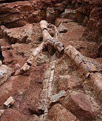 wertvollster Fund aus der Grabungssaison 2008