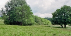 GLB Gehölz GLB Gehölz