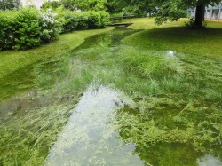 ortsnahe Versickerung von Oberflächenwasser