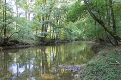 FFH Zwönitzfluss FFH Zwönitzfluss