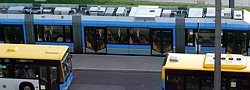Busse an der Zentralhaltestelle